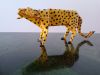 Leopard_Lionel_Albertino.jpg