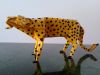 Leopard_Lionel_Albertino_2.jpg