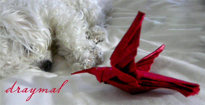 Ruby-Throated HummingBird - Robert Lang - Origami Design Secrets 4
Plié par moi 
Modèle de Robert Lang - Origami Design Secrets
