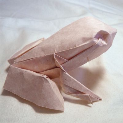 Ranoshi - David Derudas 1
Plié par : Moi
Modèle de : David Derudas
Mots-clés: origami Ranoshi David Deruda grenouille frog papier paper animal