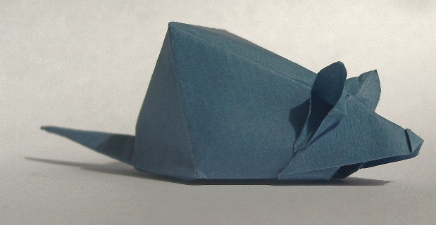 souris momotani
