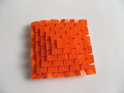 fujimoto clover

