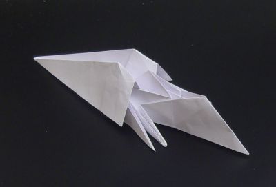 SNV83564.JPG
