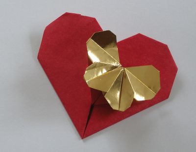 baudin_heart_28229.JPG