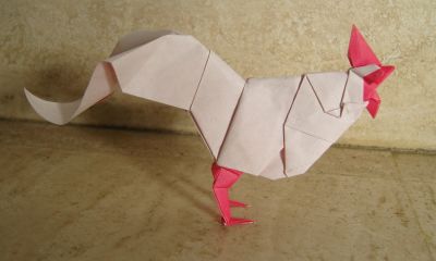 baudin_rooster_28229.JPG