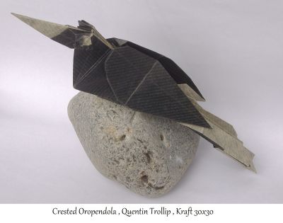 bird_2.JPG