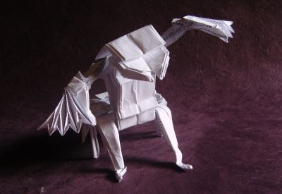 spider_28129.JPG