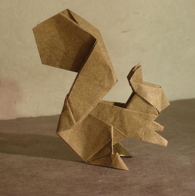 squirrel_28129.JPG