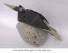 bird_2.JPG