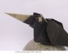 bird_3.JPG