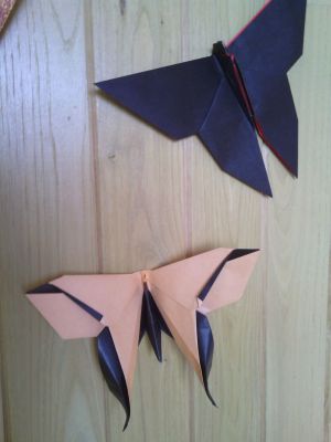Luna Moth de M. Lafosse et Borboleta d'Akira Yoshizawa
