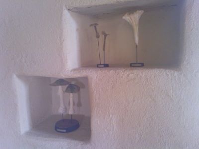 IMG_20120821_160534.jpg