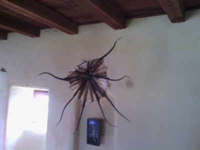 IMG_20120821_160649.jpg
