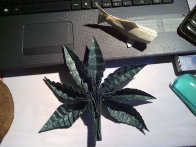 Pín de María de Fernando Gilgado
