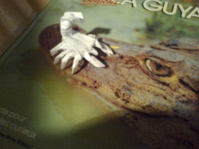 BABY WHITE SCORPION de RICARDO FOSCHI Feuille d'essai 14x14
