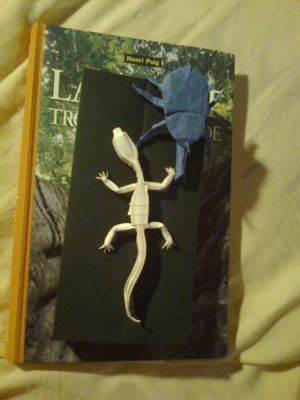 Geko et rhinocerous beetle de Ricardo Foschi
