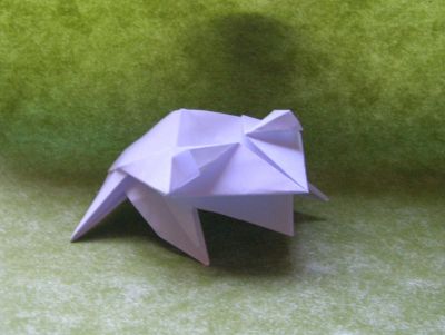 Grenouille de Roman Diaz
Papier imprimante
