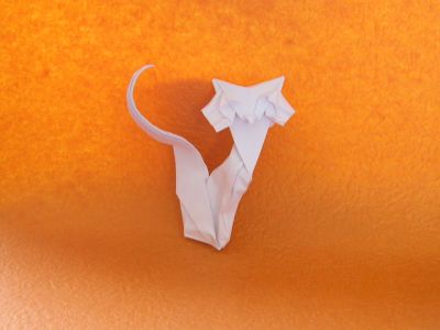 Chat de Roman Diaz
Papier imprimante
