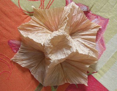 Froissing
Kraft crumpling
