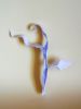 DSCN7159.JPG