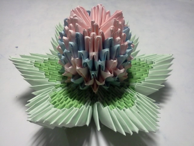 fleur de lotus 
