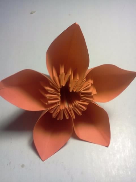 fleur 
