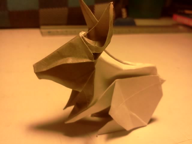 lapin 
