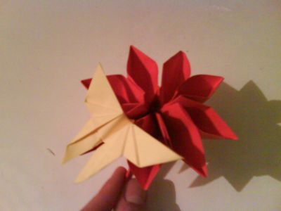 papillon sur une fleur
