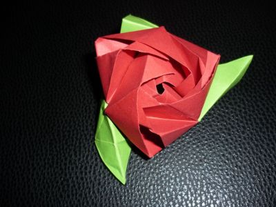 rose du cube
