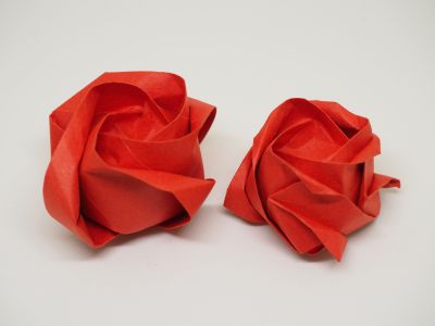 Roses
