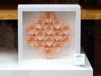 Tesselation Clermont
