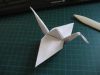 Nom du fichier=IMG_5584.JPG
Taille du fichier=533Ko
Dimensions : 2048x1536
Ajouté le : 15 Mai 2016 IMG_5584.JPG