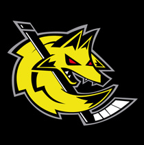 hockey Roanne
