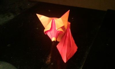 little fox
