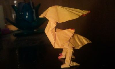 Chocobo

