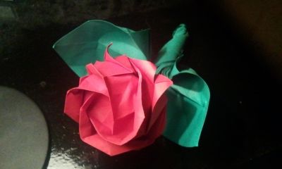rose
