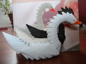 Cygne en modulaire chinois.
Le modèle de ce cygne est présent dans un petit livre intitulé "Le Tangrami pour plieurs avancés" dont on voit la couverture derrière. J'aime ce pliage car il change des grands cygnes arrondis tout en restant esthétique.
Mots-clés: Cygne Tangrami