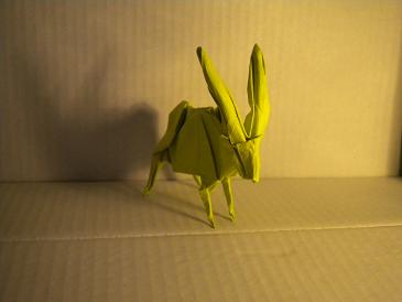 Autre vue de l'oryx.
