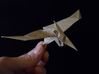Pteranodon.JPG