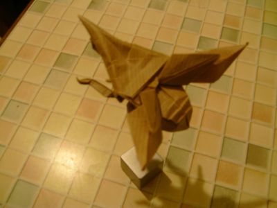 helmat beetles de astoshi kamiya
plier dans du papier kraft
