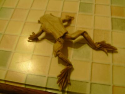 poison dart frog de mr.lang
plier dans du papier kraft

