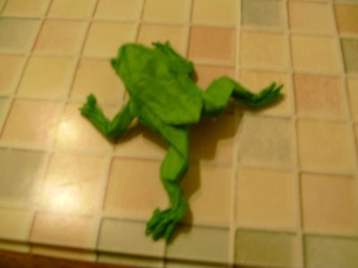 poison dart frog de mr.lang
plier dans du papier kraft
