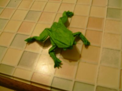 tree frog de mr.lang
plier dans du papier de soie
