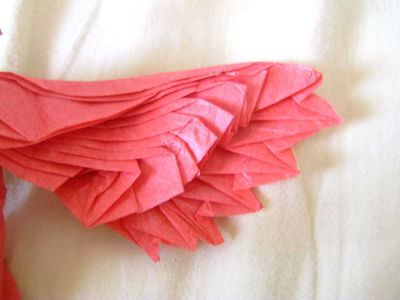 phoenix 3.5 de satoshi kamiya
Mon cinquième essai du phœnix, qui est le plus abouti jusqu’à maintenant.
