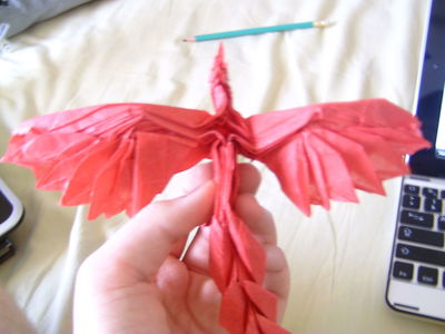 phoenix 3.5 de satoshi kamiya
Mon cinquième essai du phœnix, qui est le plus abouti jusqu’à maintenant.
