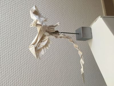 Phoenix 3.5, Satoshi Kamiya
Phoenix plié dans du kraft blanc, traité à la colle + modelage à l'eau.
Vue intégrale.
