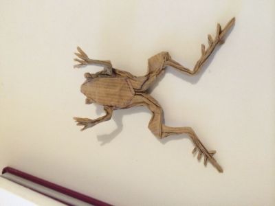 Poison Dart Frog
