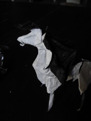 PICT1677.JPG