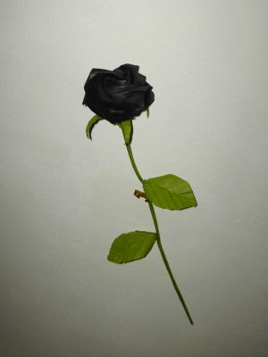 PICT1839.JPG