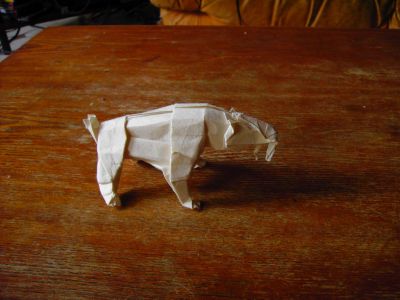 Smilodon_-_Satoshi_Kamiya.JPG